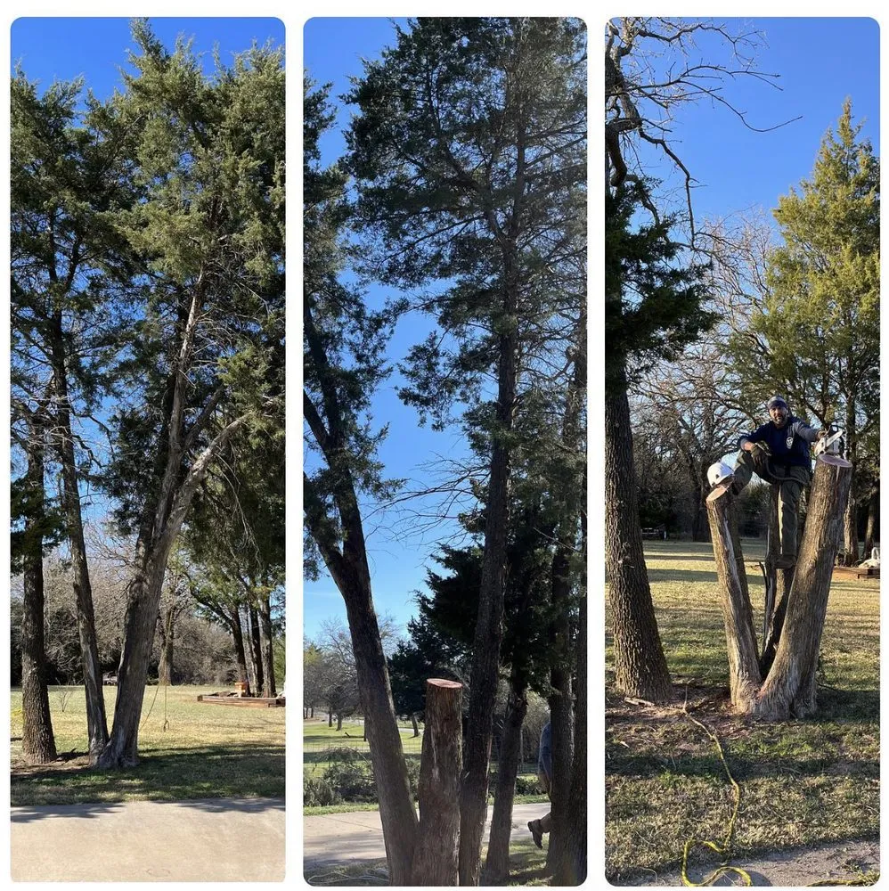Professional lawn care service for outdoor upgrades in Grand Prairie, TX by GBK Tree Services & Landscaping