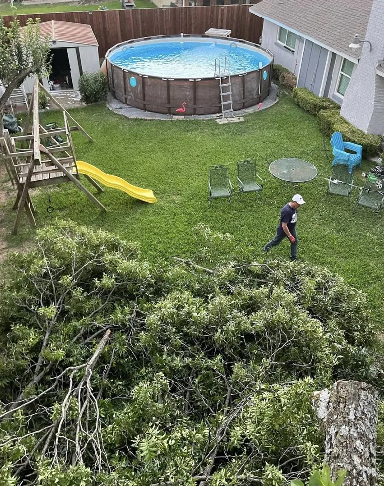 Custom yard cleanup service for year-round maintenance across Grand Prairie, TX - GBK Tree Services & Landscaping