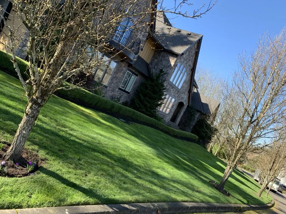 Reliable yard cleanup service in Aloha, OR by GBR Landscape Maintenance