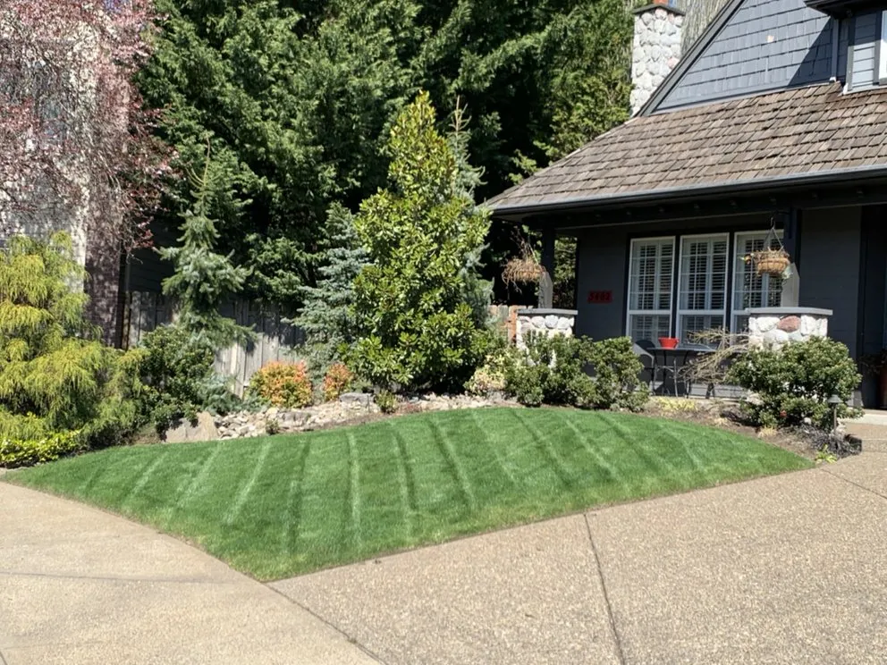 Top-rated yard cleanup service experts serving Aloha, OR - GBR Landscape Maintenance