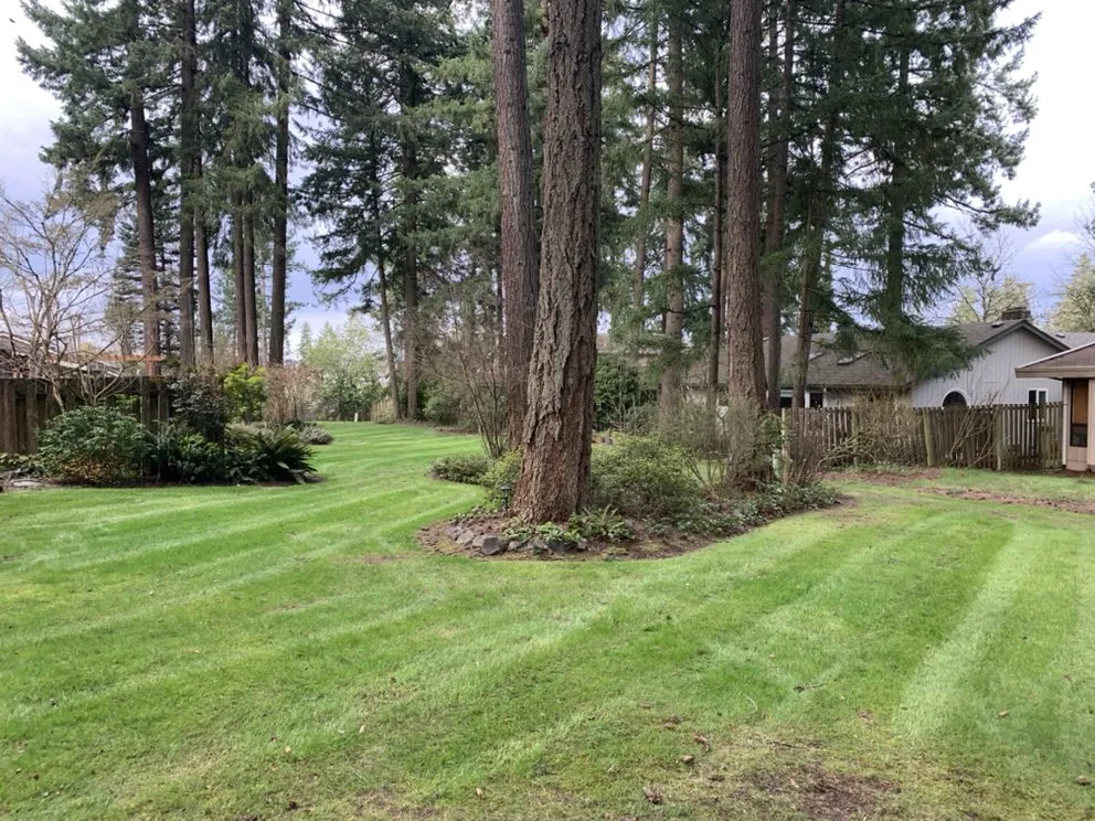 Reliable landscape installation in Aloha, OR - GBR Landscape Maintenance