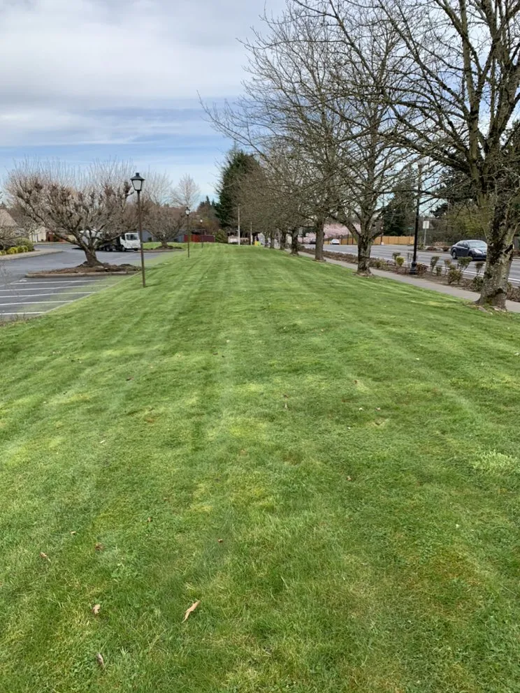 Local residential landscaping for beautiful yards across Aloha, OR - GBR Landscape Maintenance
