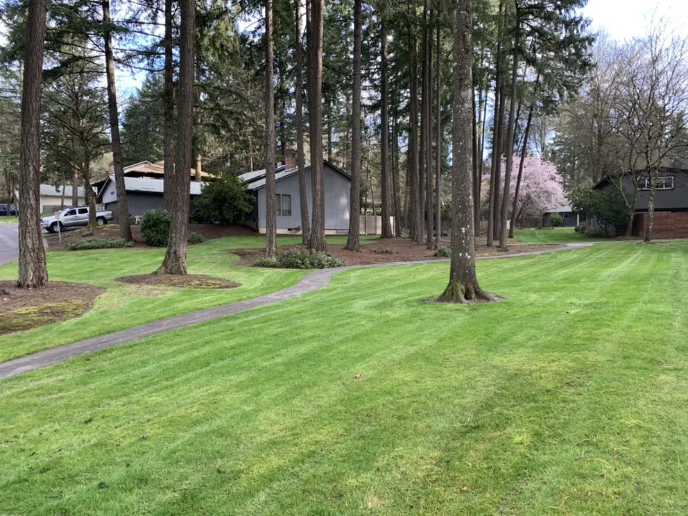 Affordable landscaping services in Aloha, OR by GBR Landscape Maintenance
