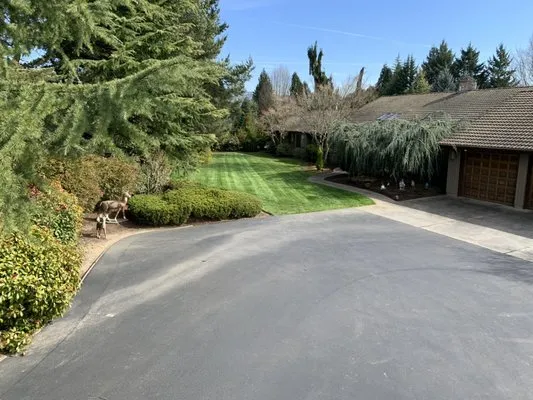 GBR Landscape Maintenance