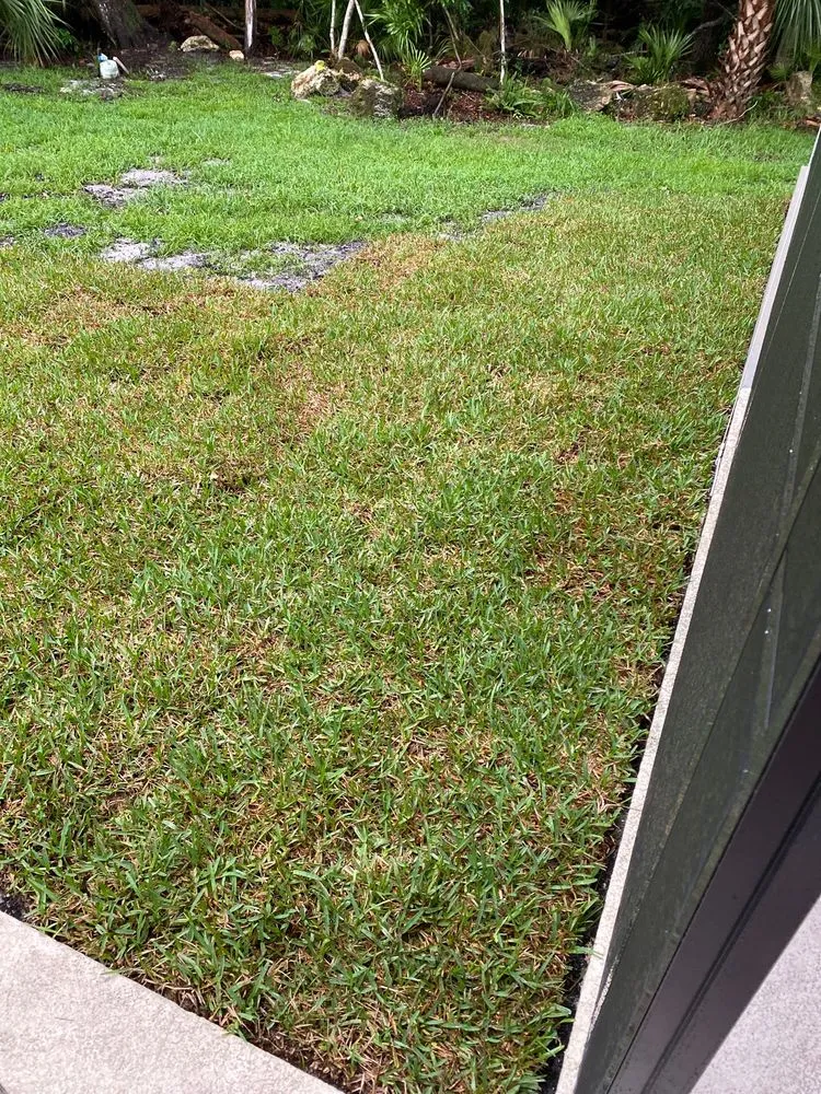 Top-rated yard maintenance in Daytona Beach, FL by Gbs Sod