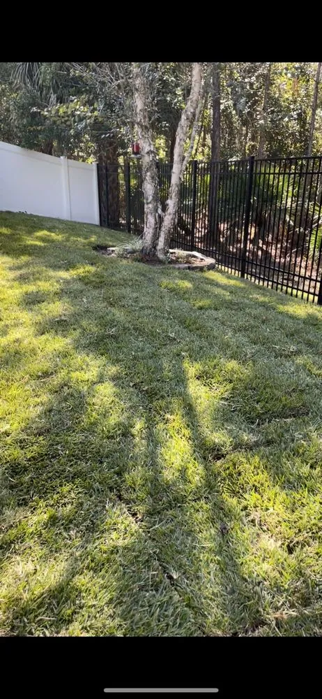 Reliable yard cleanup service in Daytona Beach, FL by Gbs Sod