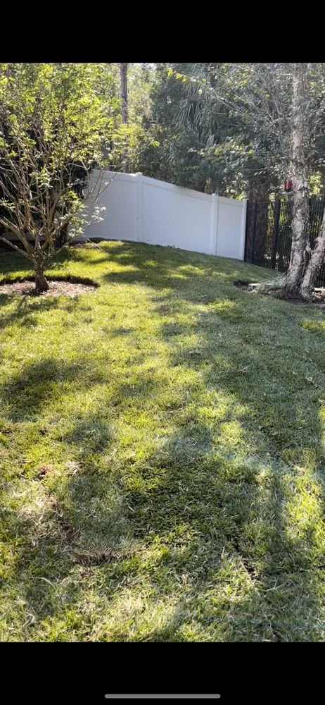 Affordable lawn care service in Daytona Beach, FL by Gbs Sod