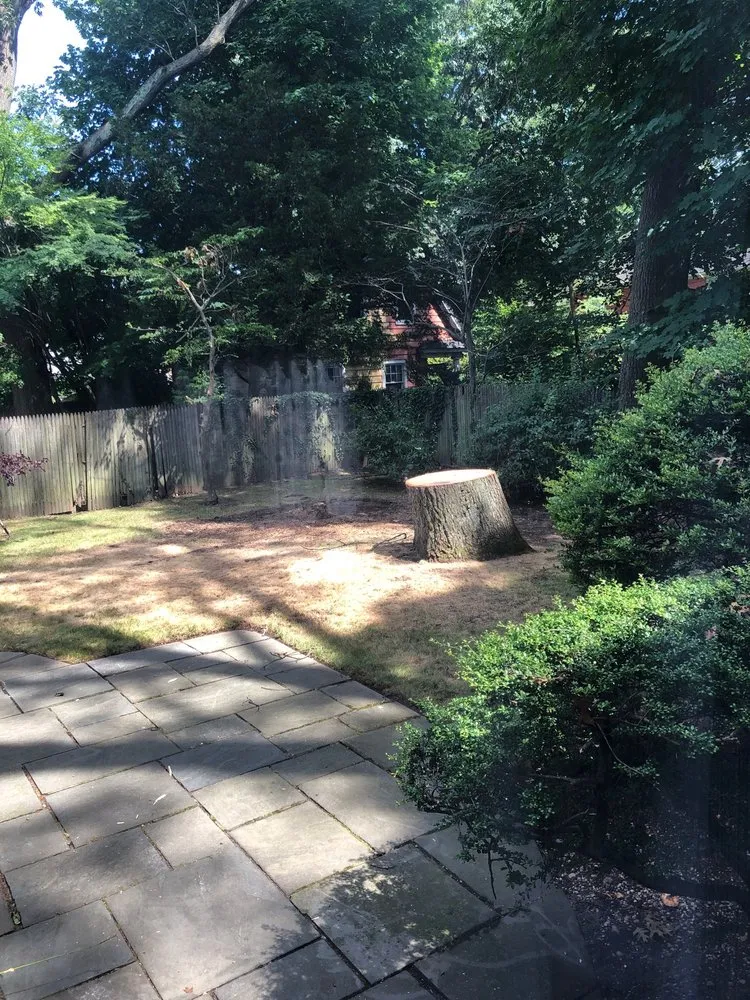 Local yard maintenance for homes in Hempstead, NY by G.C. and Son