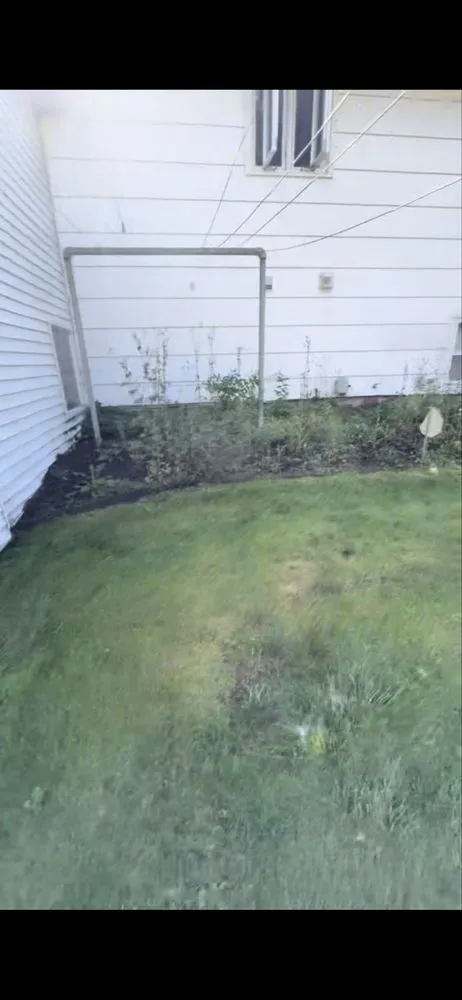 Local yard maintenance experts serving Brockport, NY - GC Handyman Services and Construction