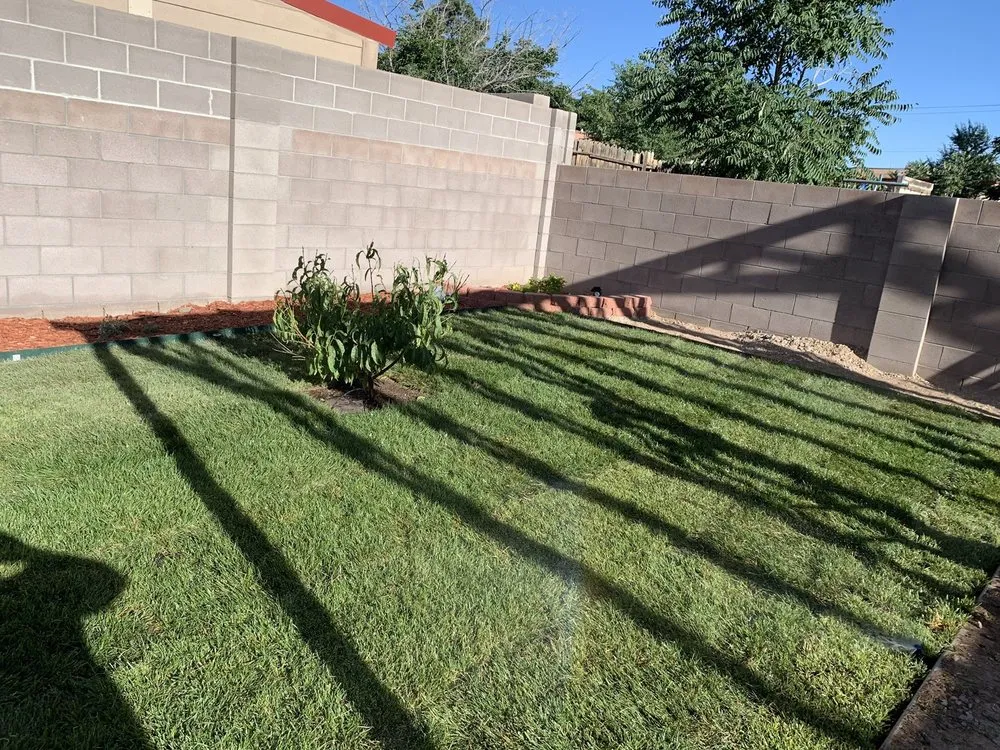 Affordable yard maintenance experts serving Albuquerque, NM - G&C Landscape