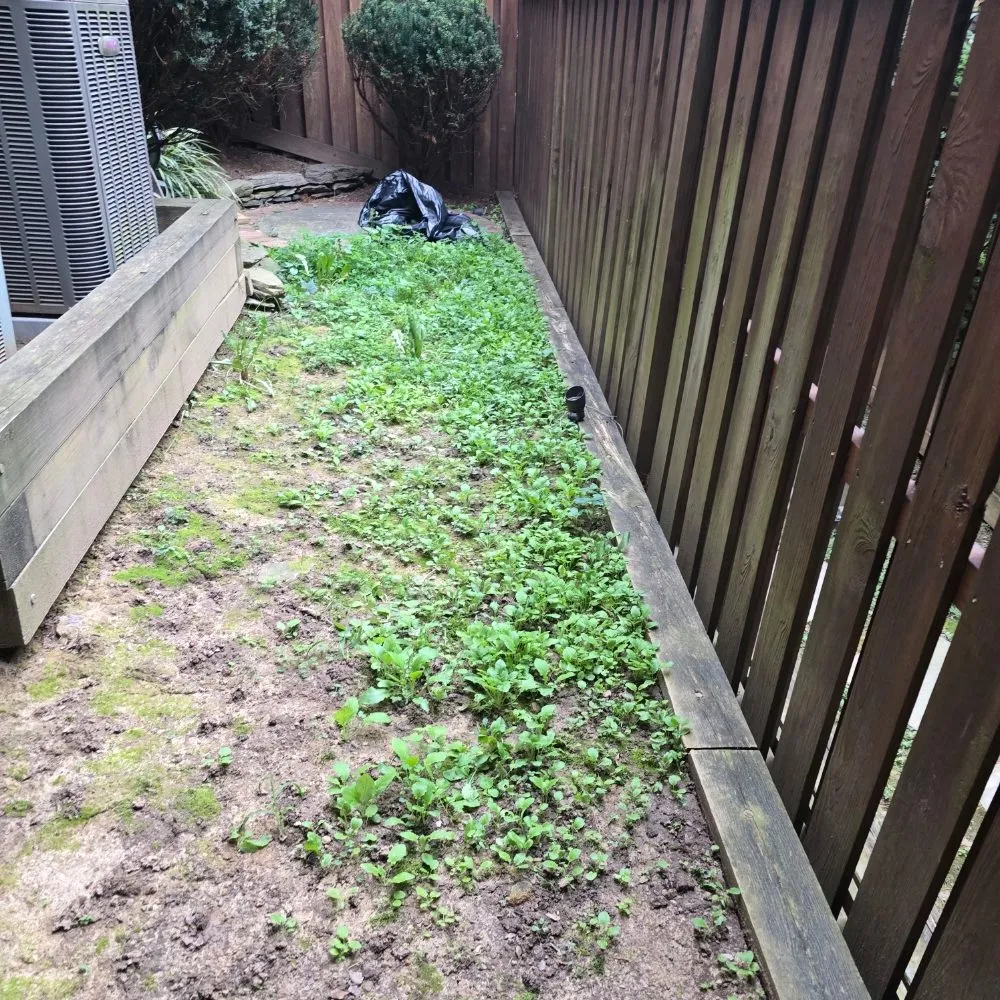 Affordable lawn mowing service for outdoor upgrades across Centreville, VA - GC Landscape