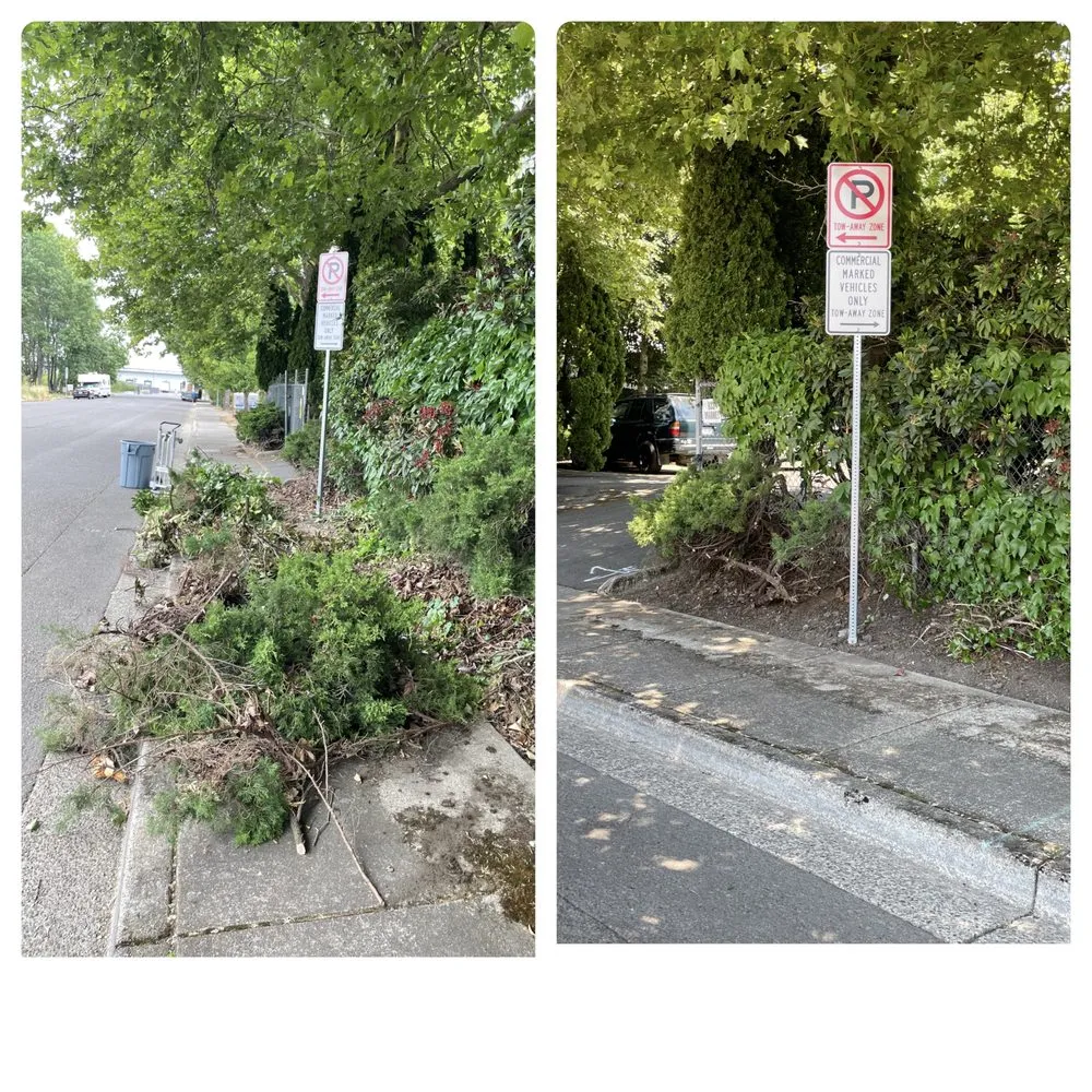 Reliable landscape installation in Eugene, OR by Gc Landscape Services