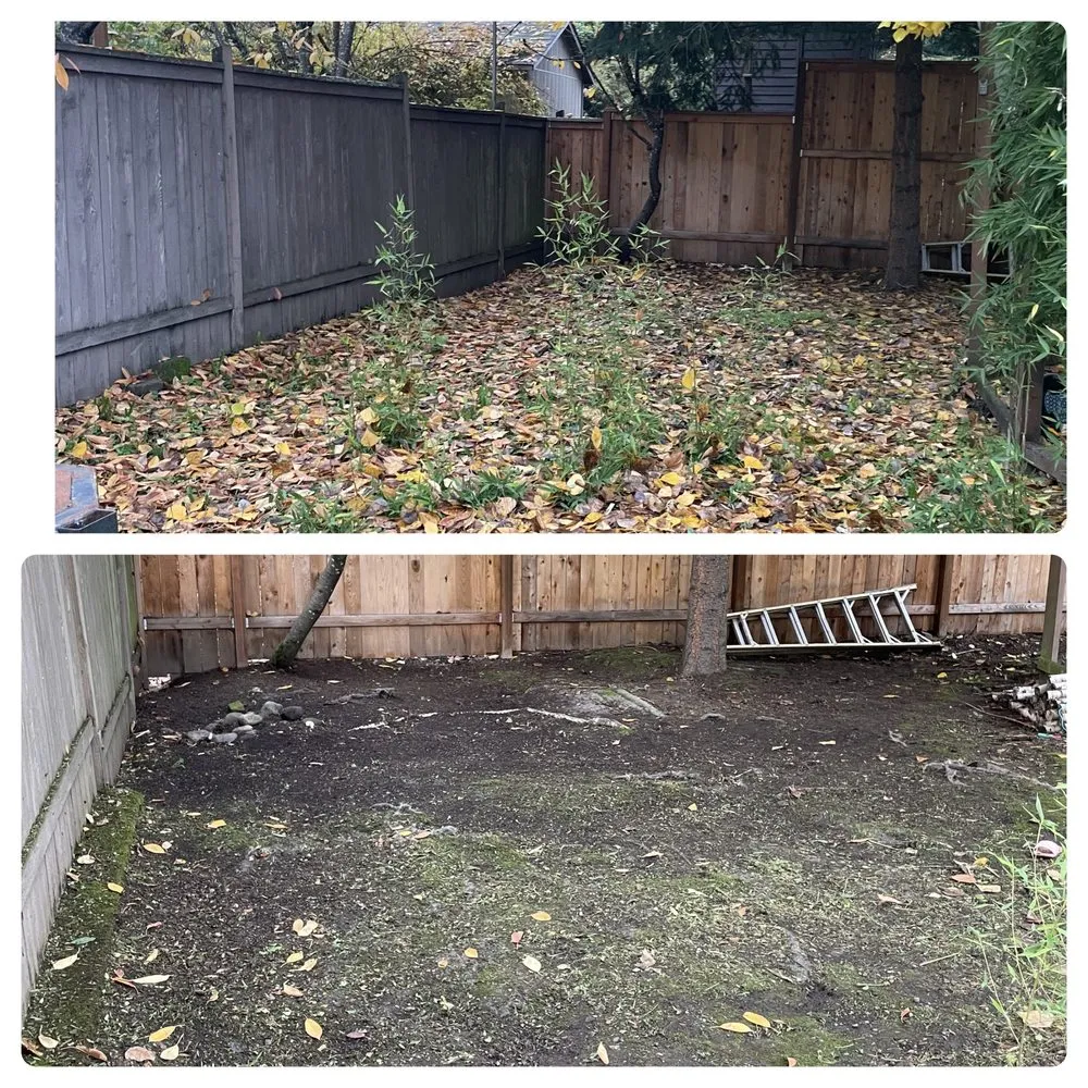 Top-rated yard cleanup service in Eugene, OR - Gc Landscape Services