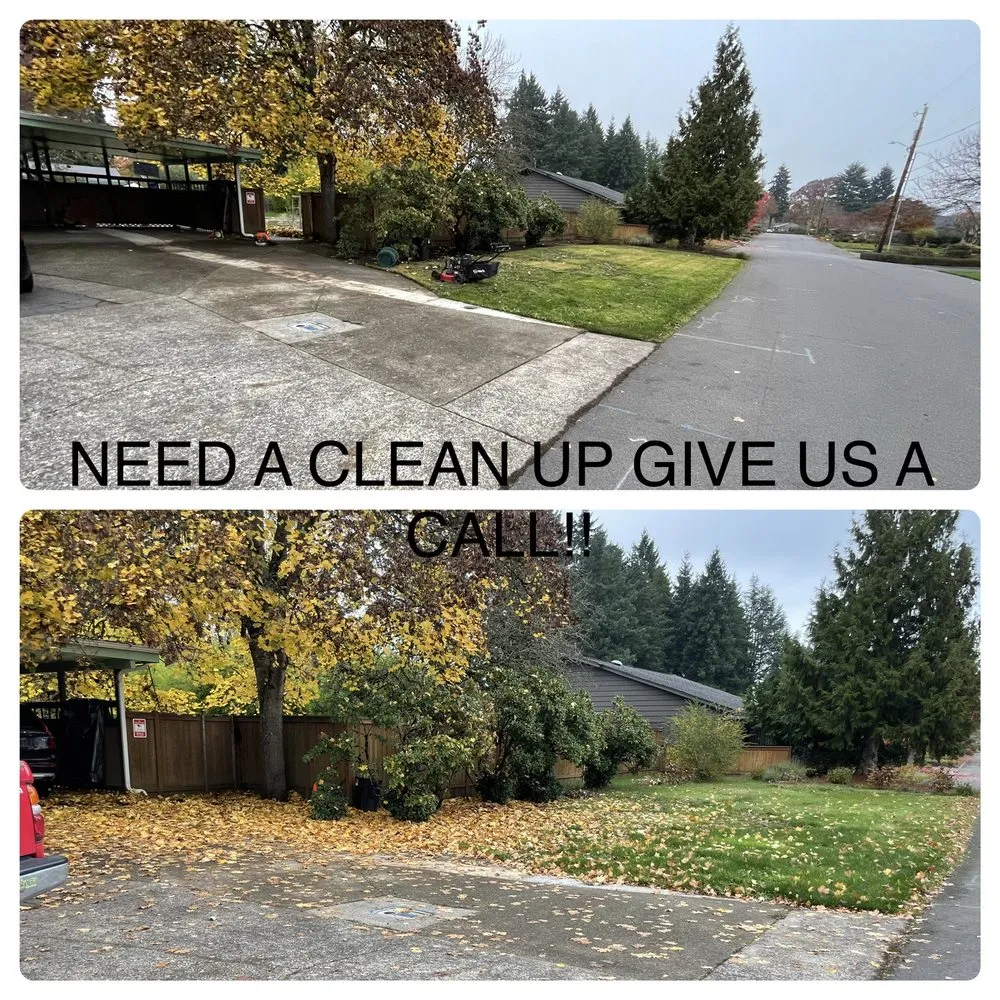 Expert landscape installation in Eugene, OR by Gc Landscape Services