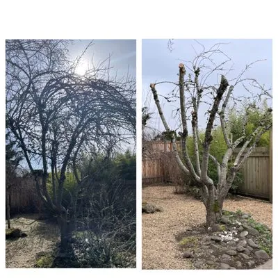 Gc Landscape Services Logo