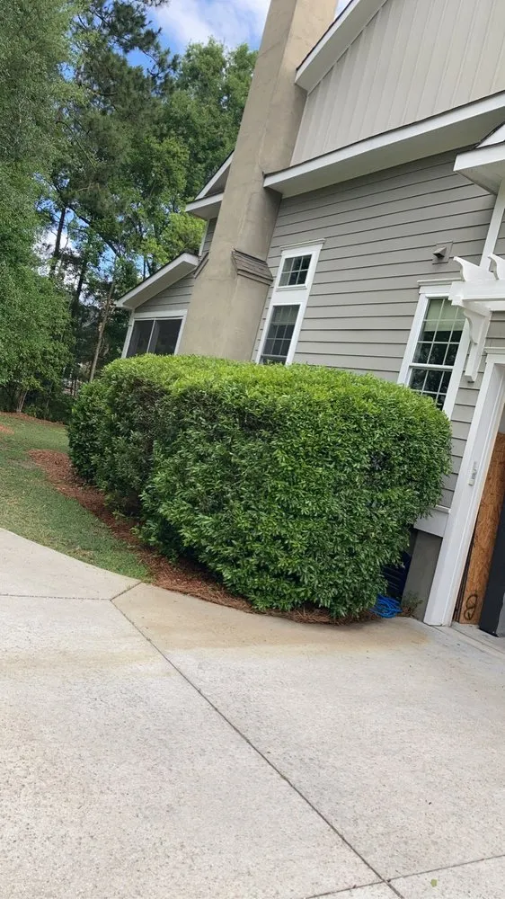 Reliable yard cleanup service experts serving Mount Pleasant, SC - GC Landscaping And Odd Jobs