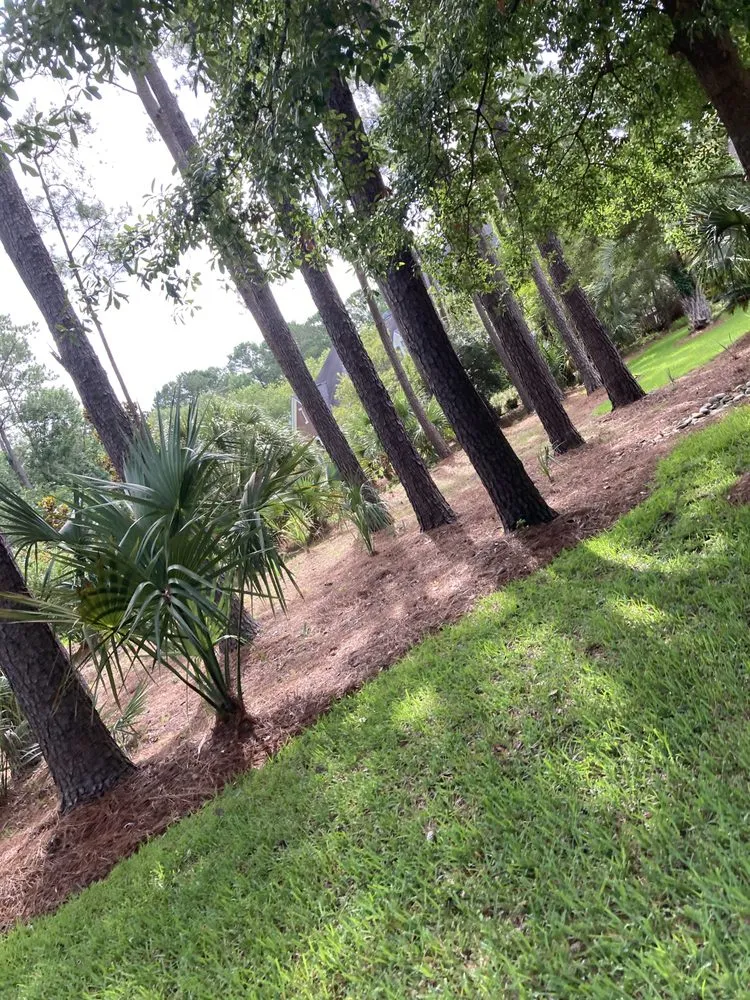 Local garden landscaping with custom design in Mount Pleasant, SC by GC Landscaping And Odd Jobs