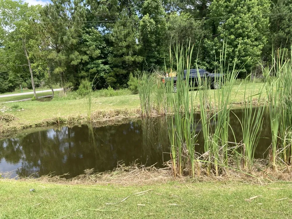 Custom garden landscaping for outdoor upgrades across Mount Pleasant, SC - GC Landscaping And Odd Jobs