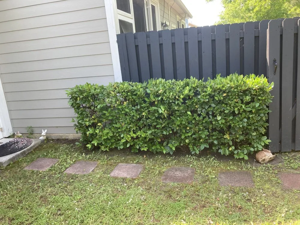 Top-rated residential landscaping in Mount Pleasant, SC by GC Landscaping And Odd Jobs