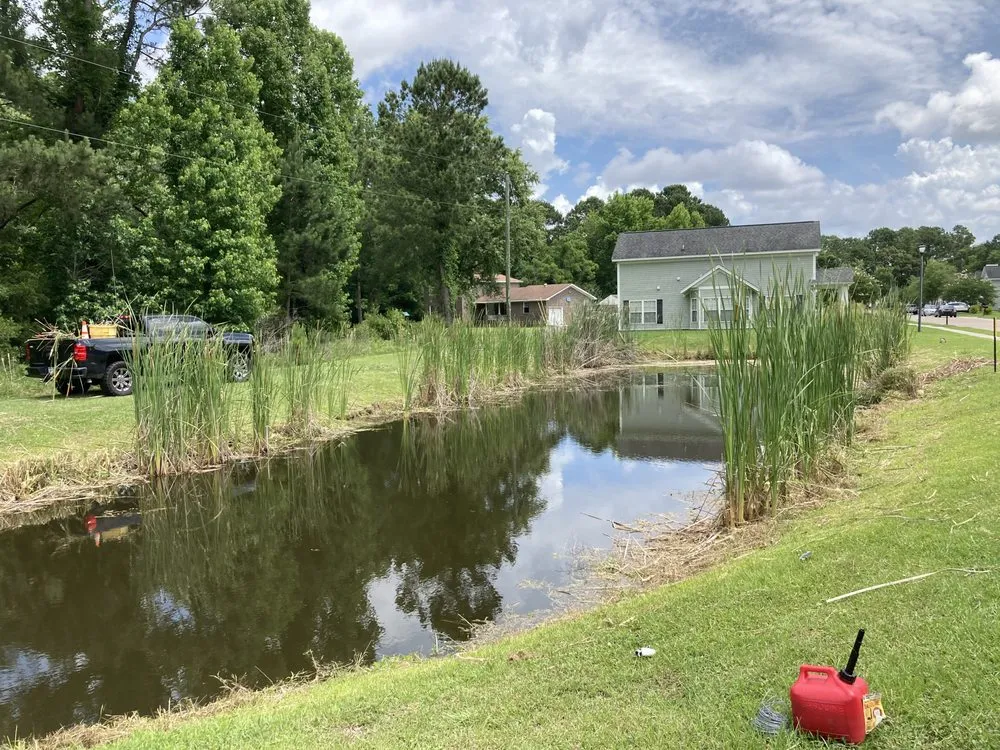Trusted landscape design for beautiful yards across Mount Pleasant, SC - GC Landscaping And Odd Jobs