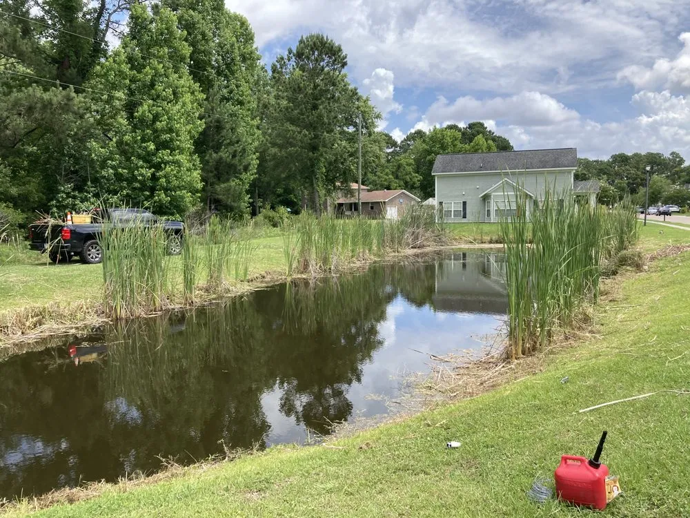 Professional lawn care service for beautiful yards in Mount Pleasant, SC by GC Landscaping And Odd Jobs