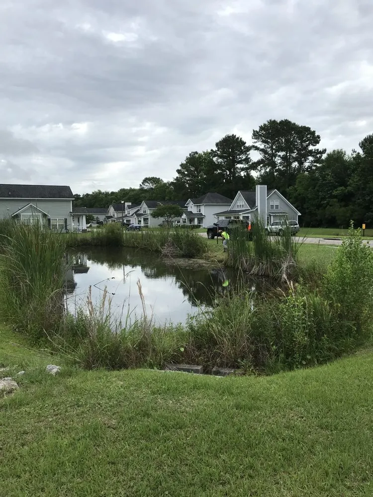 Custom lawn care service in Mount Pleasant, SC - GC Landscaping And Odd Jobs