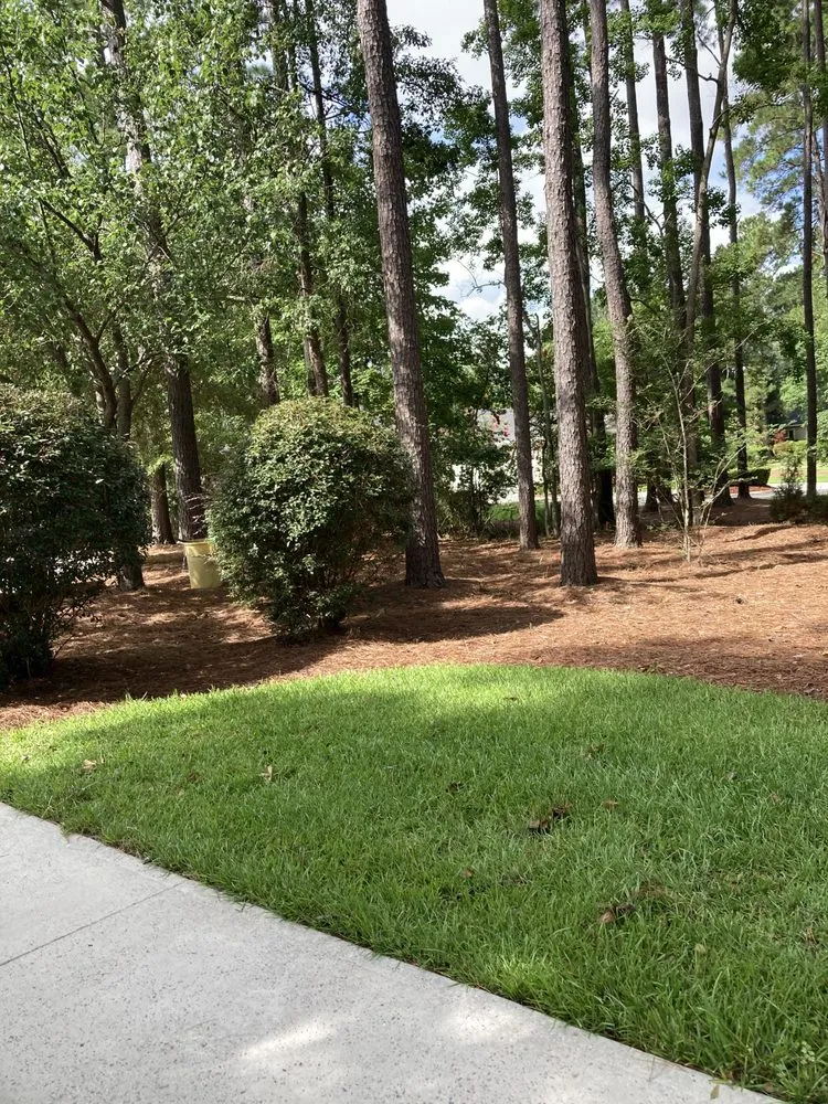 Affordable lawn care service for outdoor upgrades in Mount Pleasant, SC by GC Landscaping And Odd Jobs