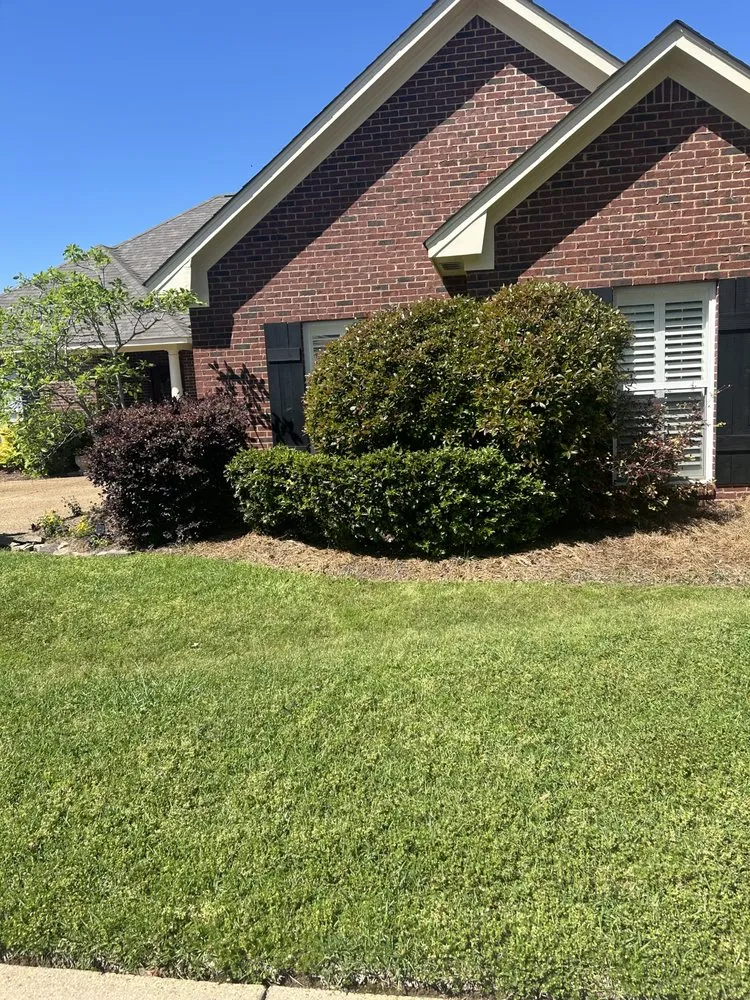 Local outdoor landscaping near you across Brandon, MS - GC landscaping