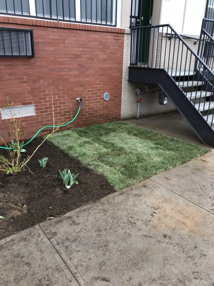 Professional landscape design with custom design across Brooklyn, NY - G&C Landscaping