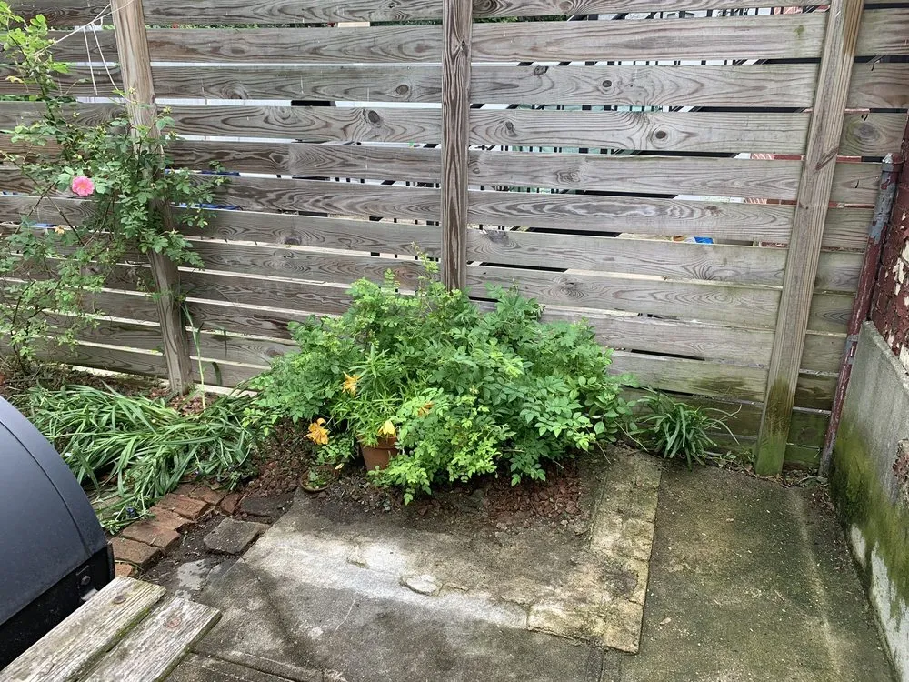 Trusted yard cleanup service experts serving Brooklyn, NY - G&C Landscaping