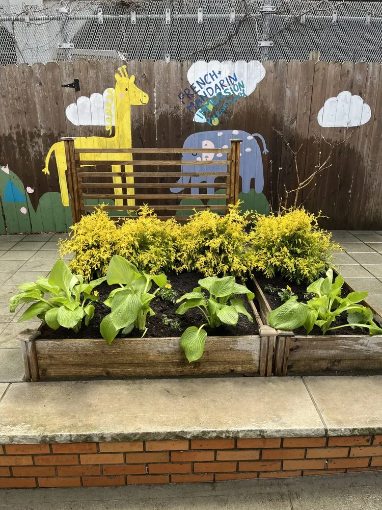 Reliable lawn mowing service for year-round maintenance across Brooklyn, NY - G&C Landscaping