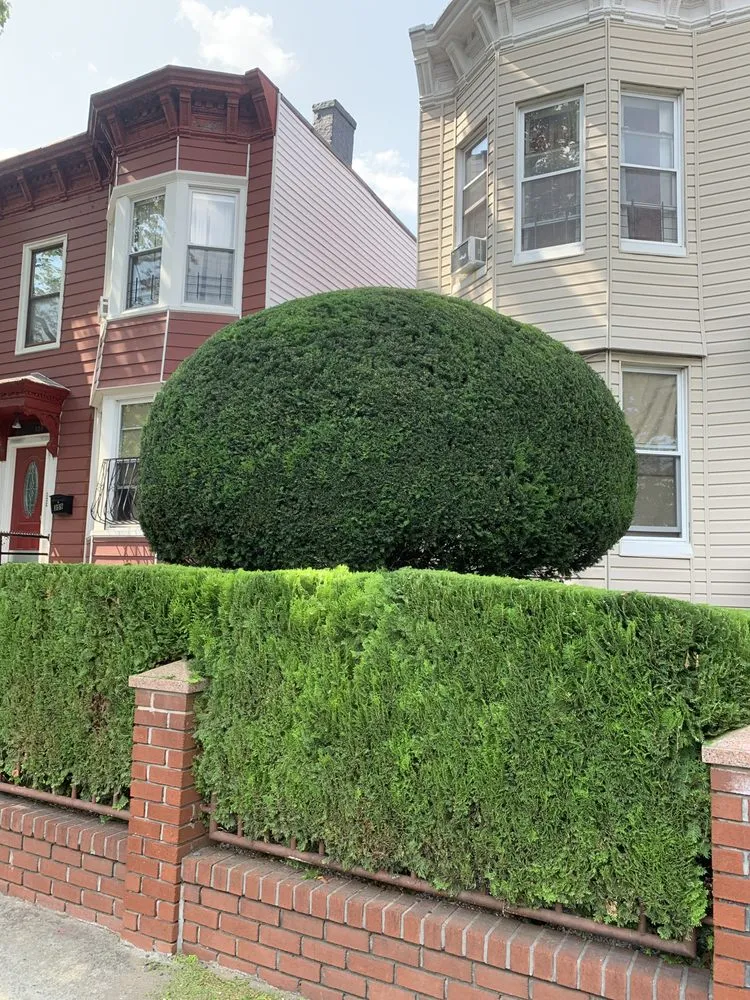 Expert landscaping services near you in Brooklyn, NY by G&C Landscaping