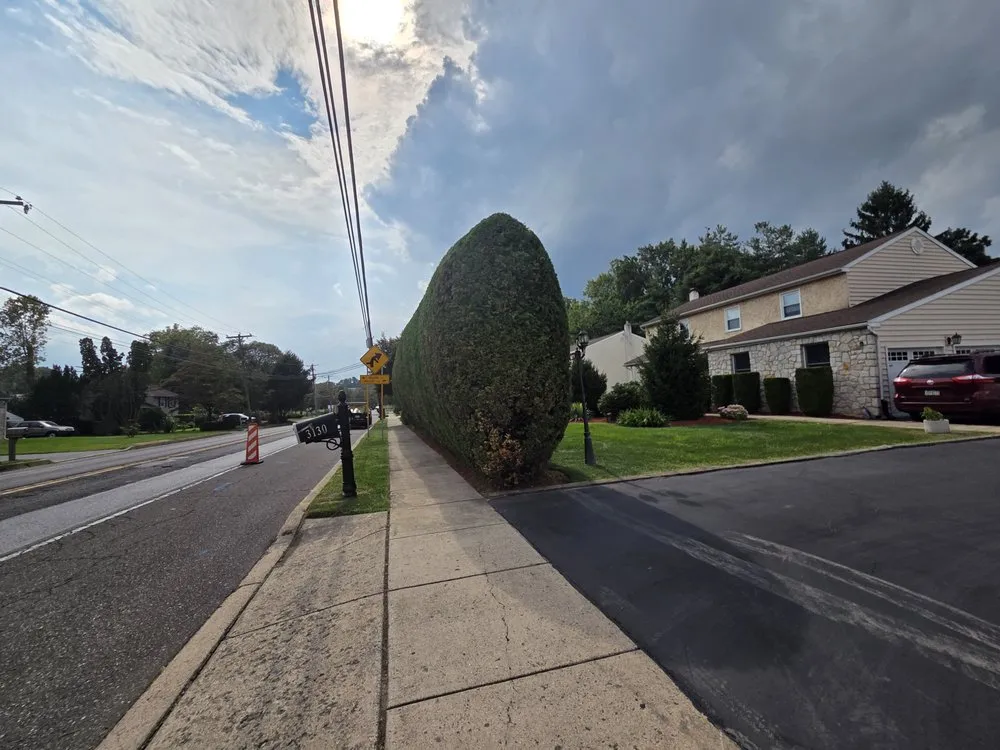 Local landscape installation in Croydon, PA by Gc Landscaping