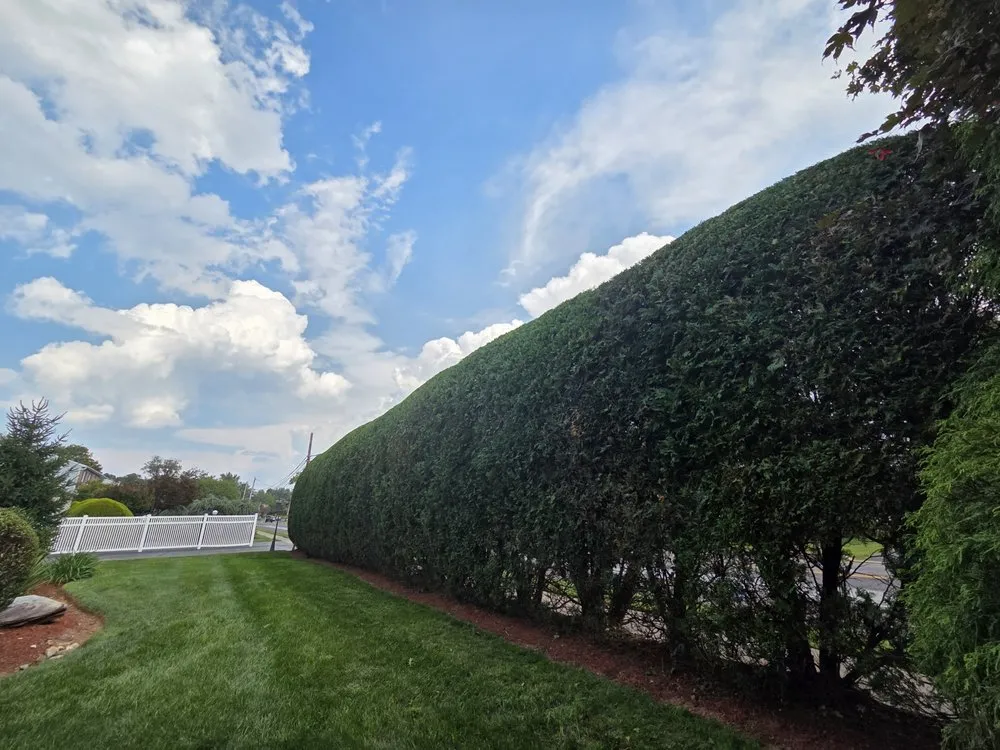 Affordable landscape design in Croydon, PA by Gc Landscaping