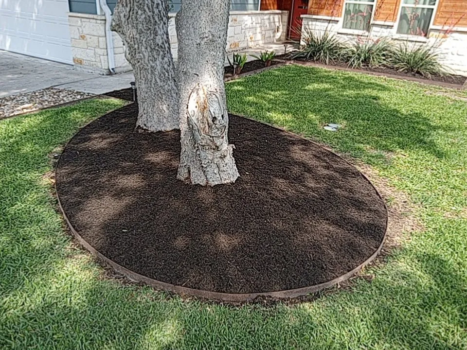 Professional yard cleanup service in Cedar Park, TX by GC Lawn and Services