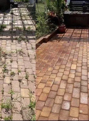 Expert landscaping services experts serving Hornellsville, NY - G&C Lawn Care And Pressure Washing