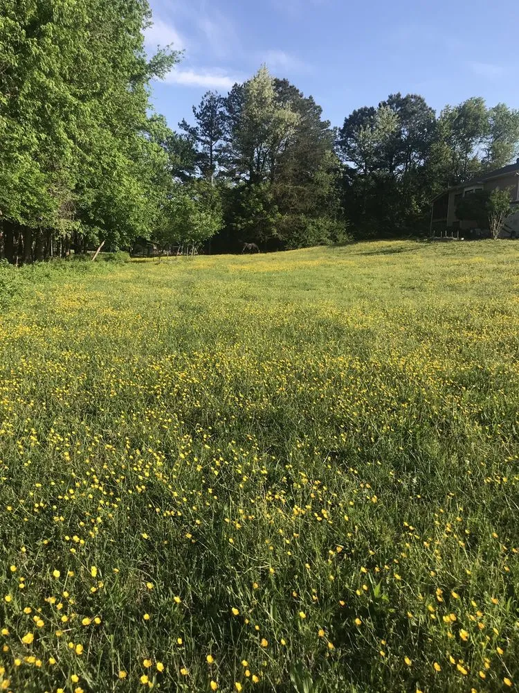 Expert landscaping services for outdoor upgrades in Fredericksburg, VA by G&C Lawn Care