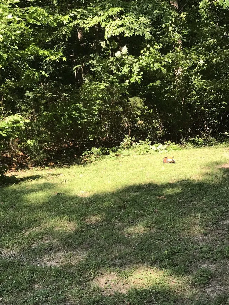 Trusted lawn care service in Fredericksburg, VA - G&C Lawn Care