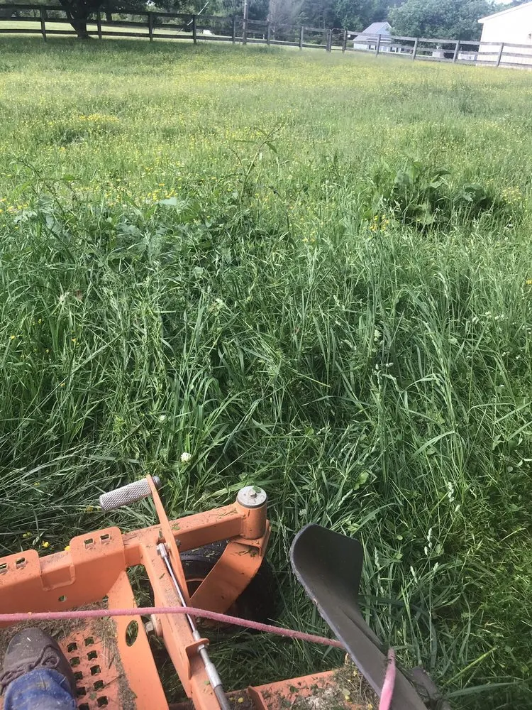 Professional lawn care service in Fredericksburg, VA - G&C Lawn Care