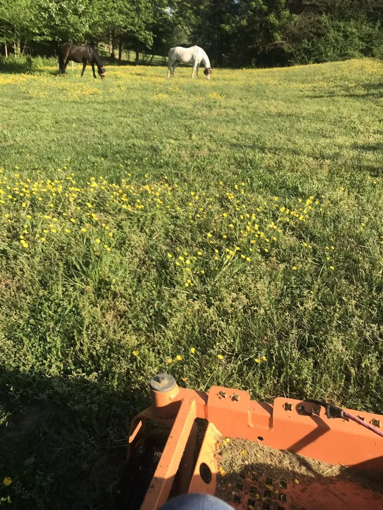 Reliable garden landscaping in Fredericksburg, VA - G&C Lawn Care