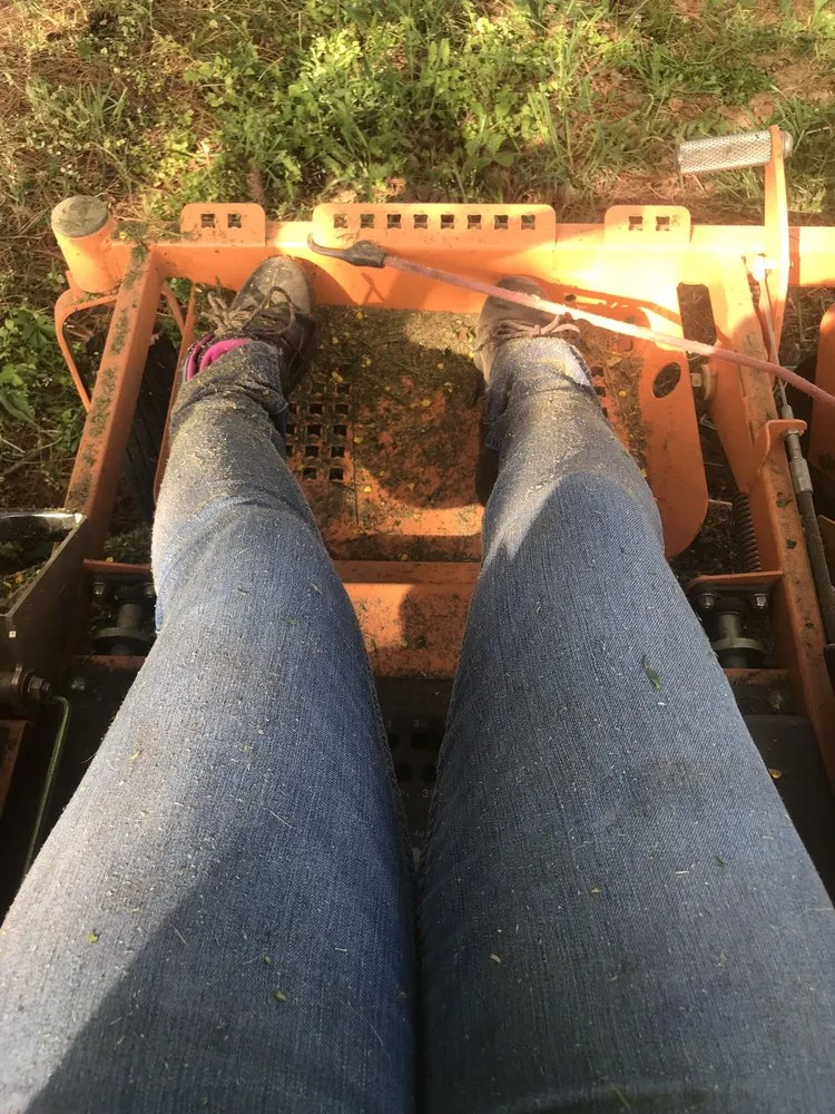 Affordable landscaping services for beautiful yards in Fredericksburg, VA by G&C Lawn Care