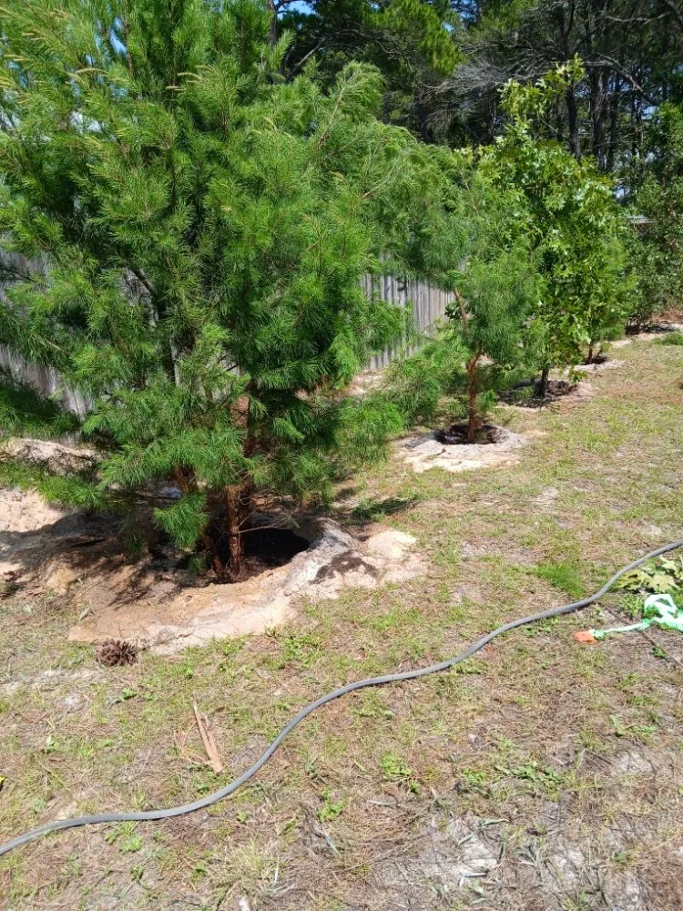 Affordable residential landscaping in Fort Walton Beach, FL - G&C Lawn Services