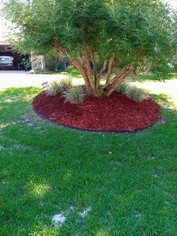 Trusted yard maintenance in Fort Walton Beach, FL by G&C Lawn Services