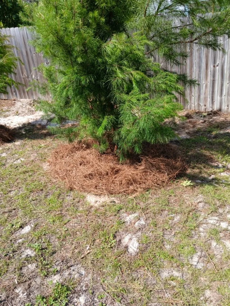 Affordable garden landscaping in Fort Walton Beach, FL - G&C Lawn Services