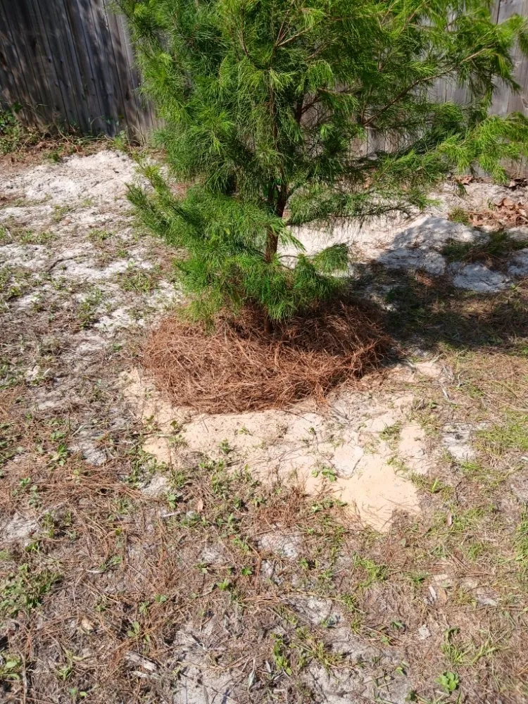 Local landscape design with custom design across Fort Walton Beach, FL - G&C Lawn Services