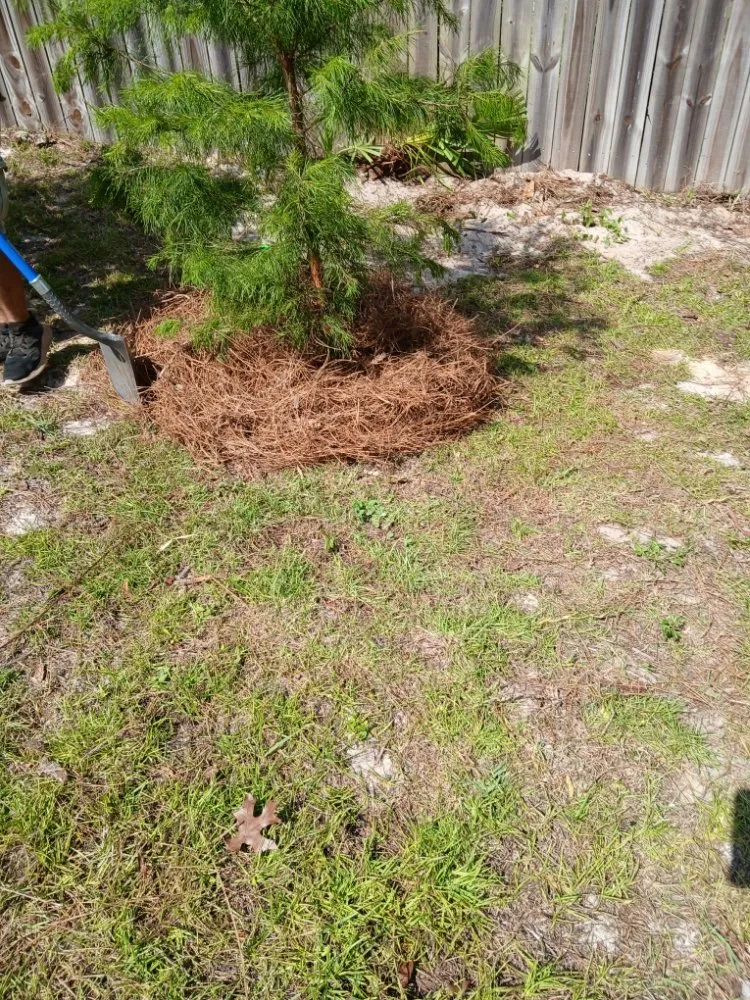 Trusted landscaping services in Fort Walton Beach, FL by G&C Lawn Services