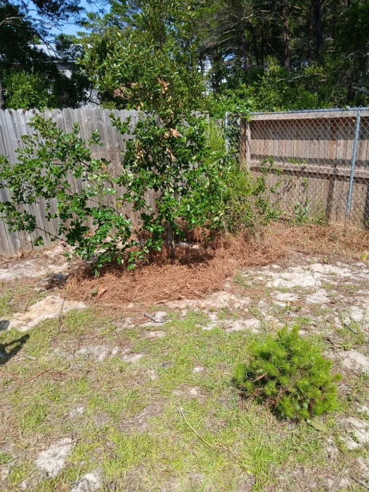 Custom landscape installation with custom design across Fort Walton Beach, FL - G&C Lawn Services