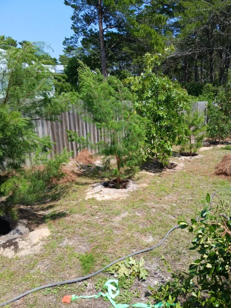Local residential landscaping for year-round maintenance in Fort Walton Beach, FL by G&C Lawn Services