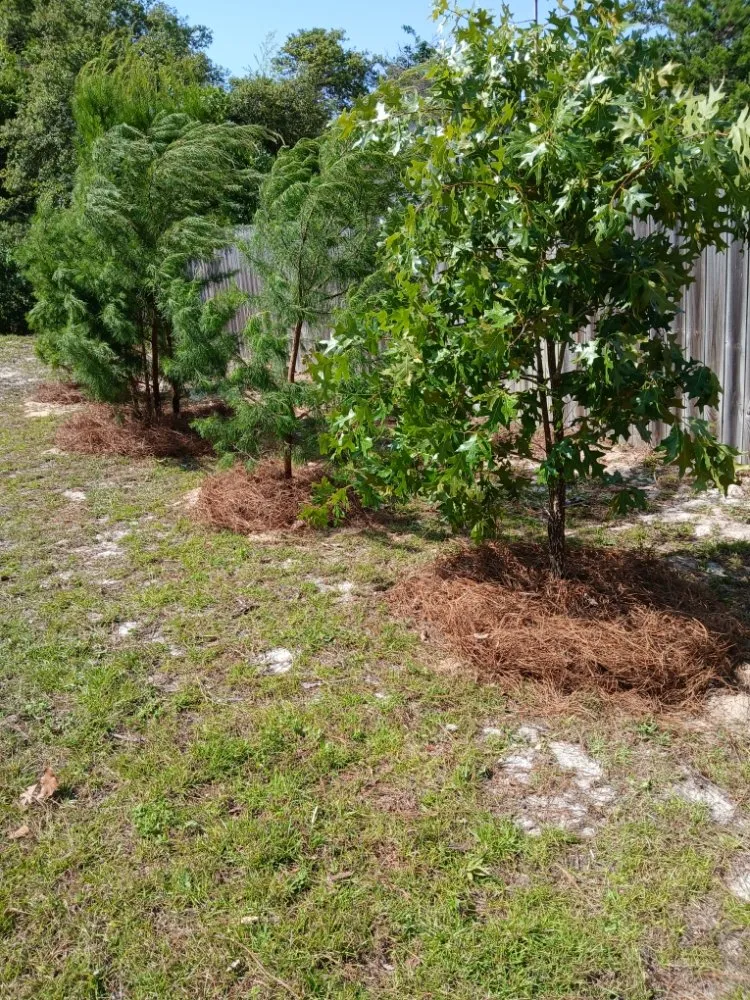 Custom garden landscaping in Fort Walton Beach, FL - G&C Lawn Services