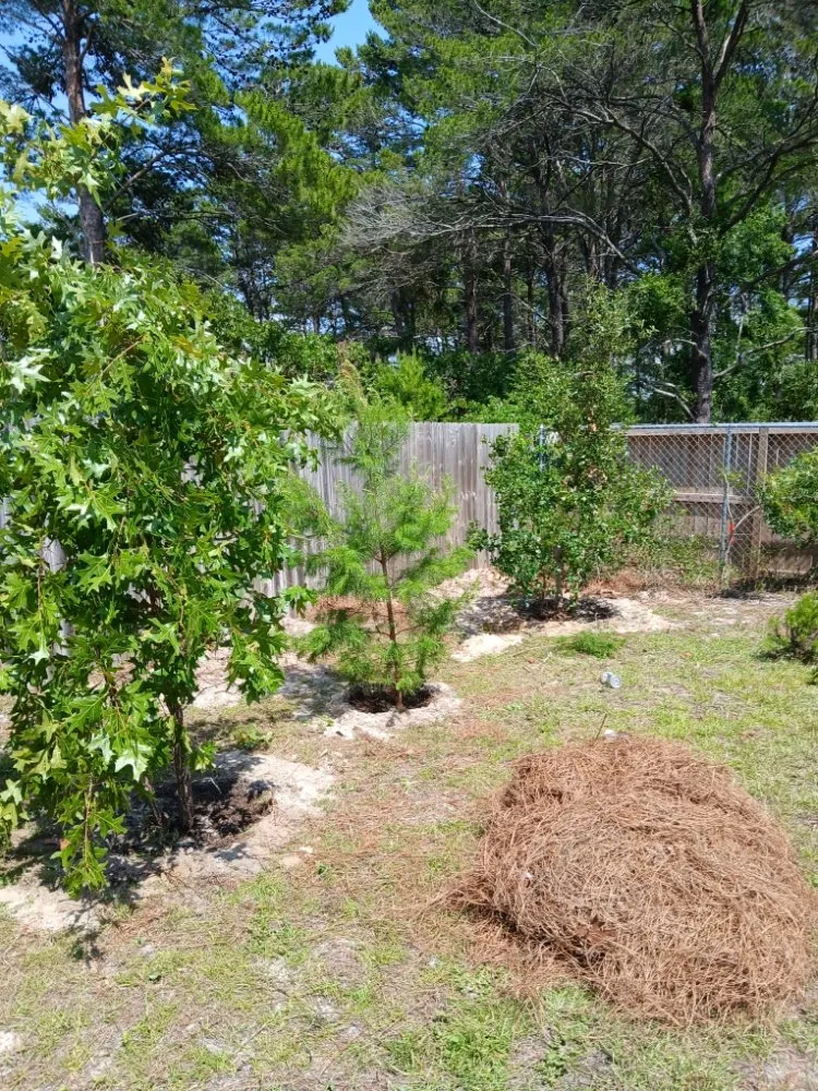 Professional lawn mowing service for homes across Fort Walton Beach, FL - G&C Lawn Services